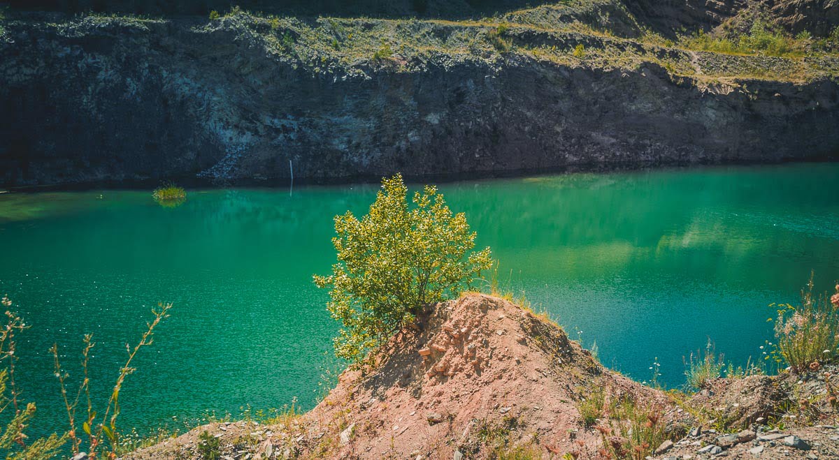 Small tree next to the emerald lake.