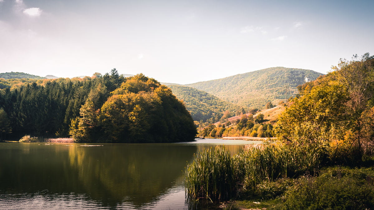 The lake surrounded by forested mountains.