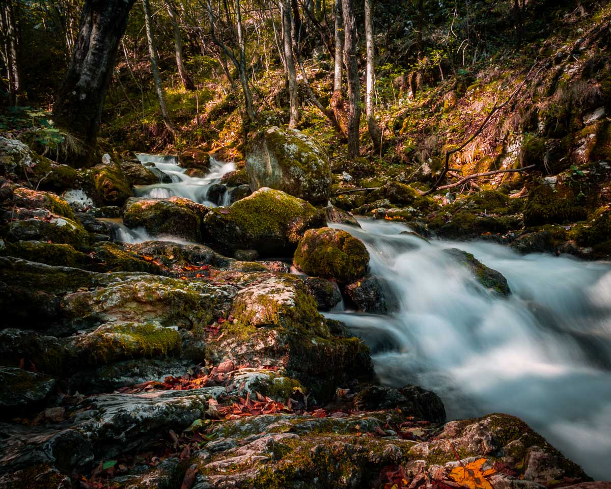 Rapid stream flowing towards the Bigăr waterfall.