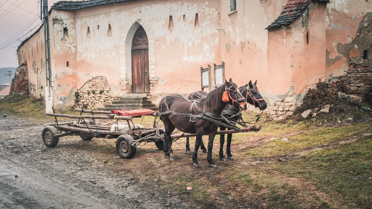 Horse with cart in the village of Daia