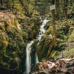 The Şopot waterfall in the Poiana Rusca mountains.