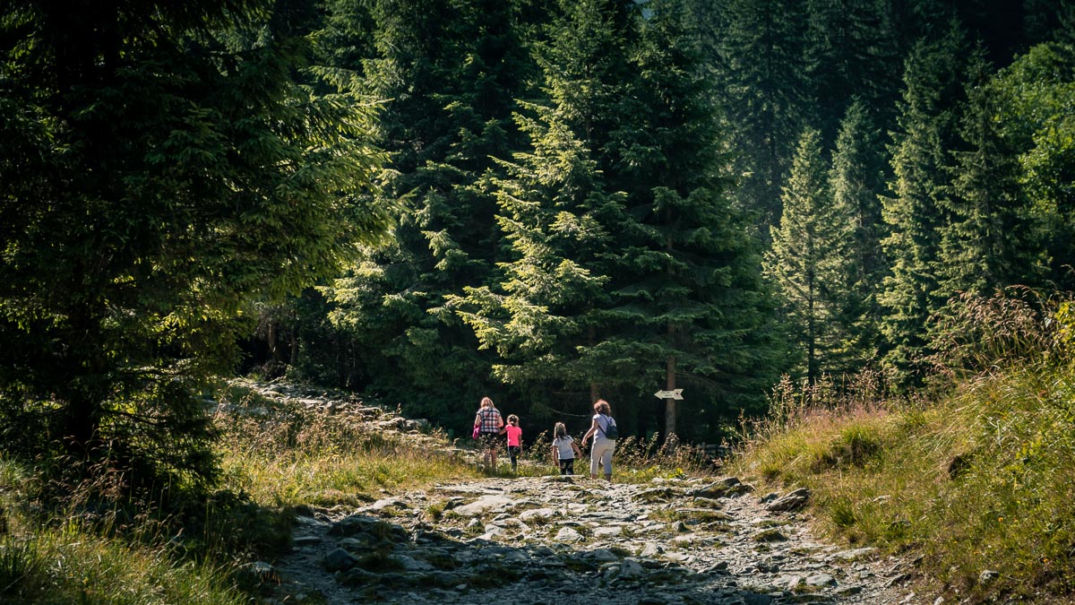 Tourists heading towards the waterfall.