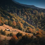 cottage in the Parâng Mountains