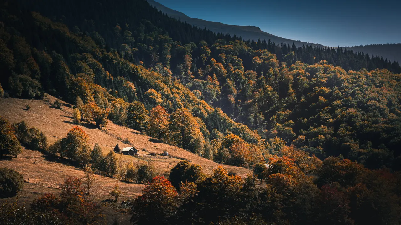 Capturing Autumn Magic in Romania’s Parang Mountains