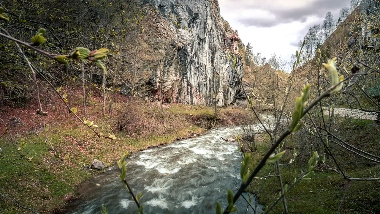 Stream flowing in the gorge.