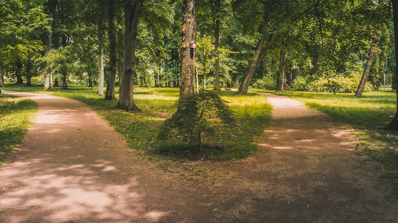 Paths in the park