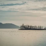 the Danube near Bazias