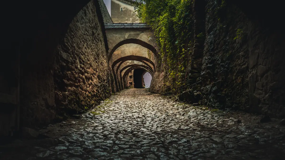 Paved path between the fortification walls.