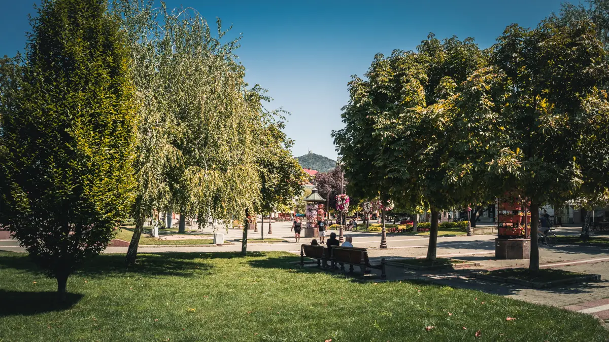 Svetog Teodora Vršačkog Park.