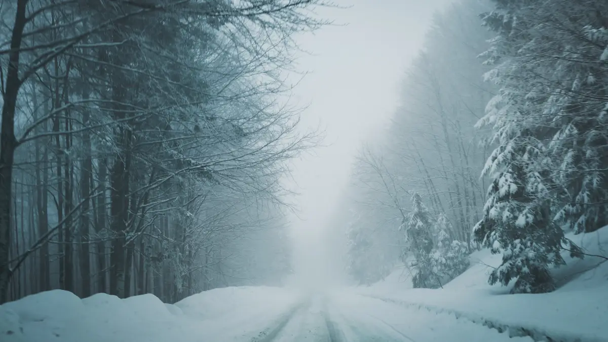 Road to Semenic covered with snow and dense fog.