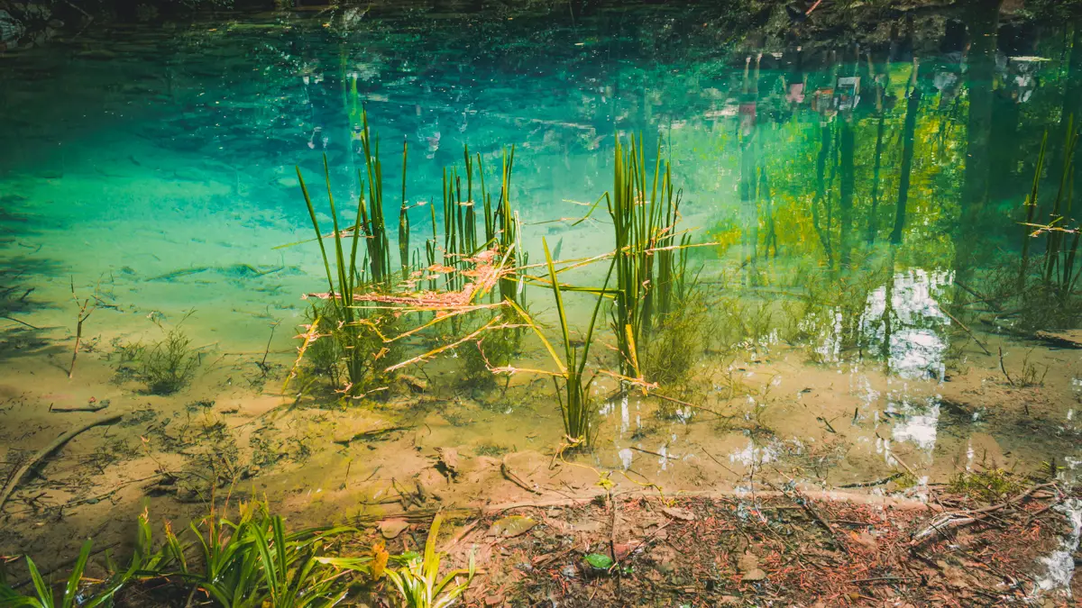 Turquoise water.