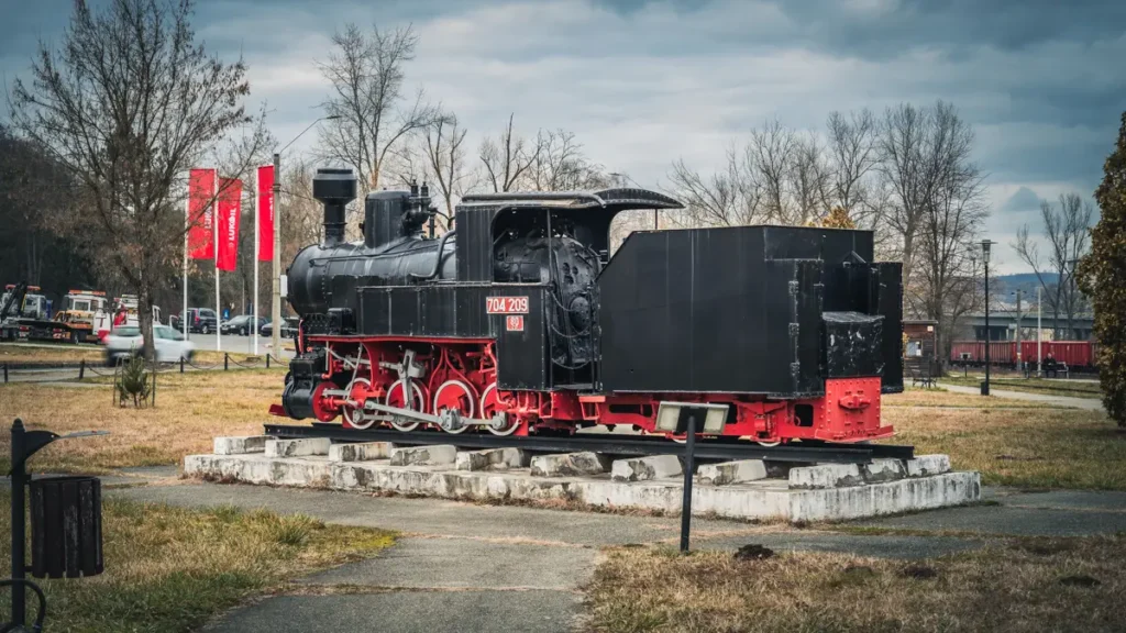 The CFF 704.209 narrow gauge steam locomotive.