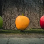 3 apples in green, orange and red.