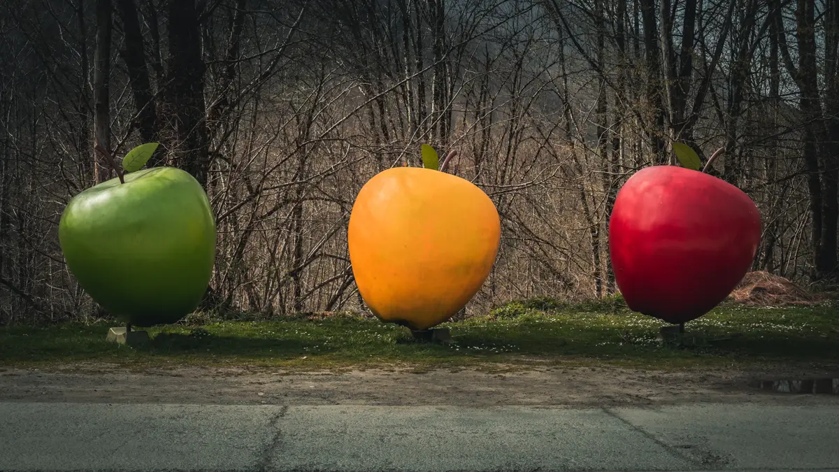 3 apples in green, orange and red.