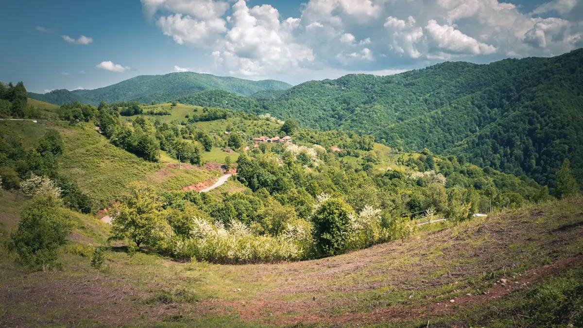 The Poiana Rusca Mountains.