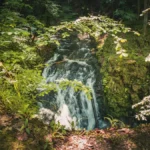 The Cornet Waterfall in the forest.