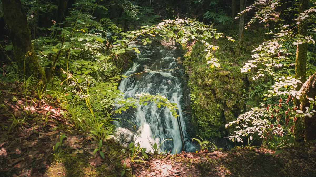 The Cornet Waterfall in the forest.