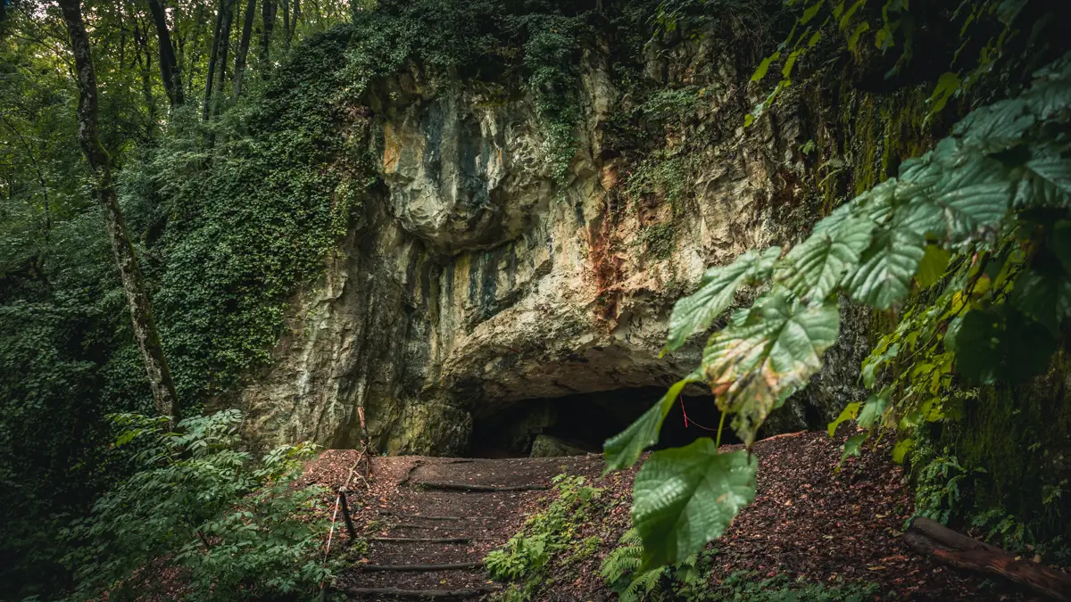 The cave mouth.