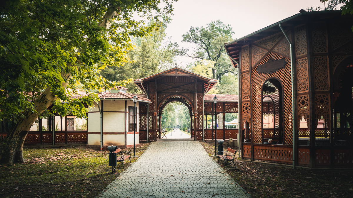 The colonnades and the main alley in the Dendrological park in Buzias.