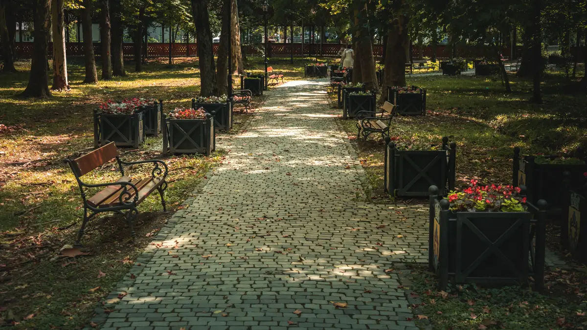 Benches in the park.