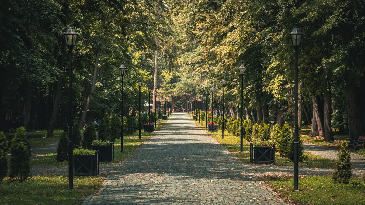 Main alley the park.