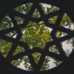 octagon star on covered colonnades.