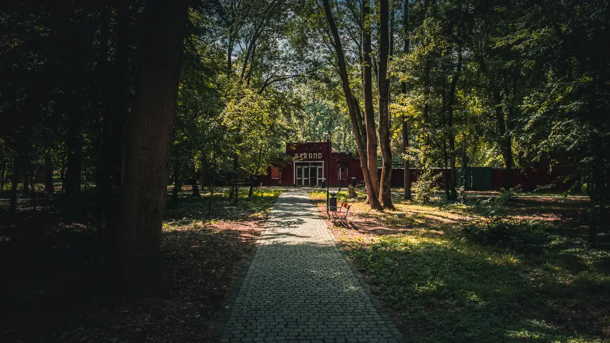 The old swimming pool in the park.