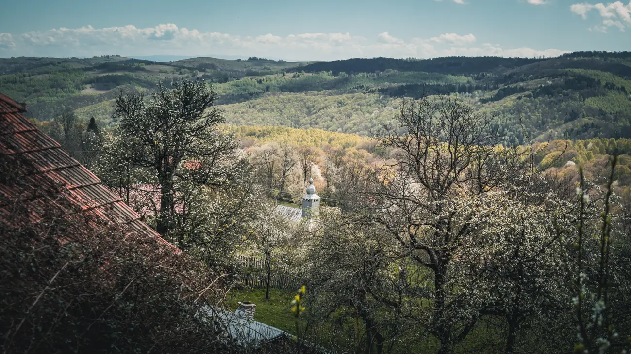 The wooden church's tower in the valley.