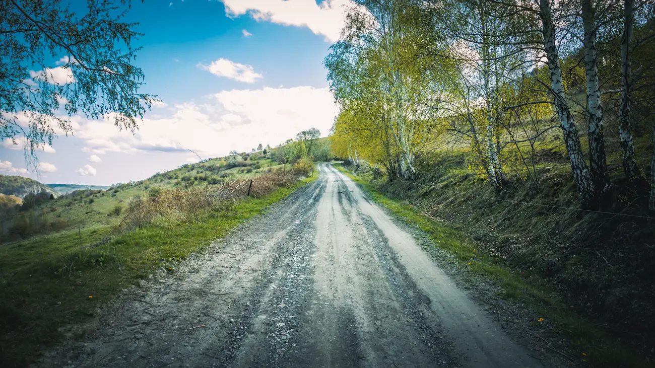 Dirt road.
