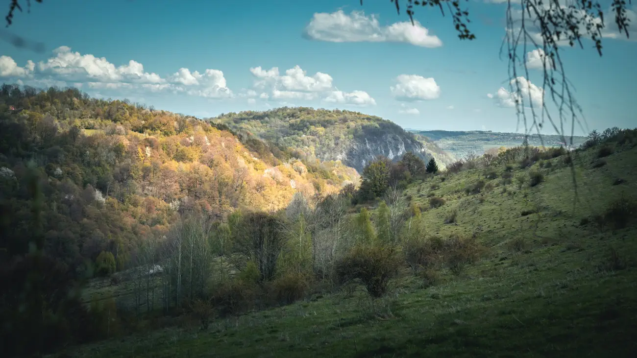 The landscape near the village of Bătrâna.