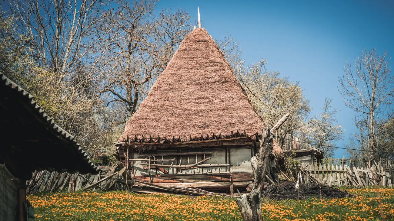 Traditional barn with a roof made out of straw.