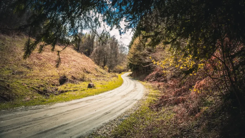 The road to Bătrâna.