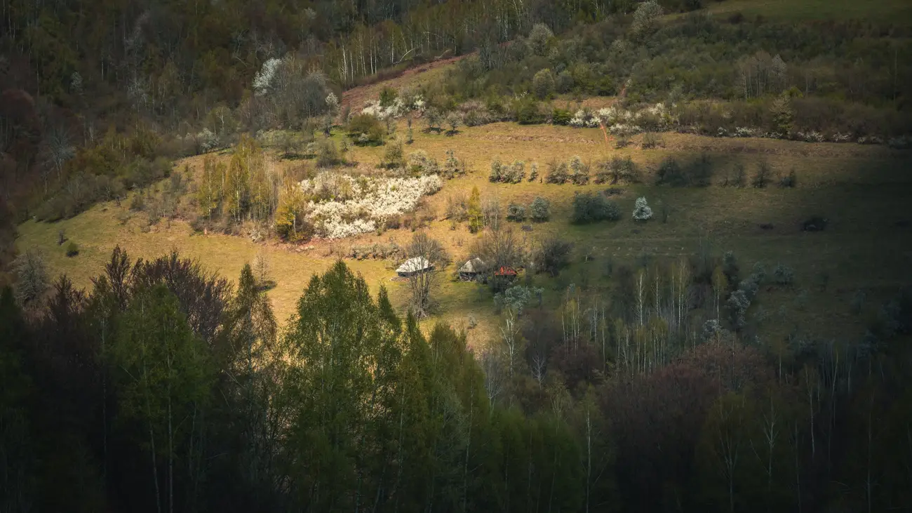 Small houses on the hill.