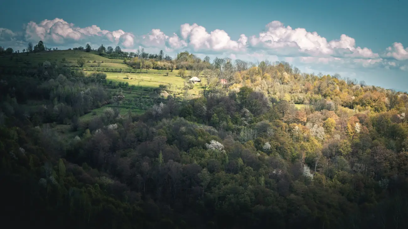 The scenery in the Poiana Ruscă Mountains.