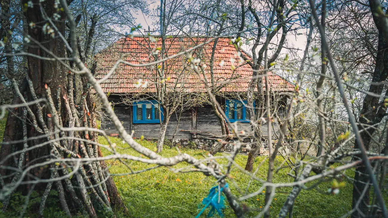 Traditional wooden house with blue windows.