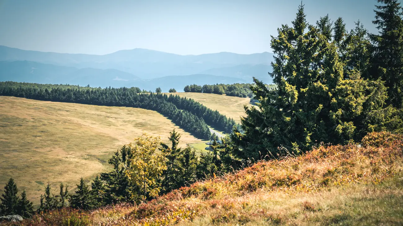 The road leading to the Semenic plateau located next to the Semenic Peak.